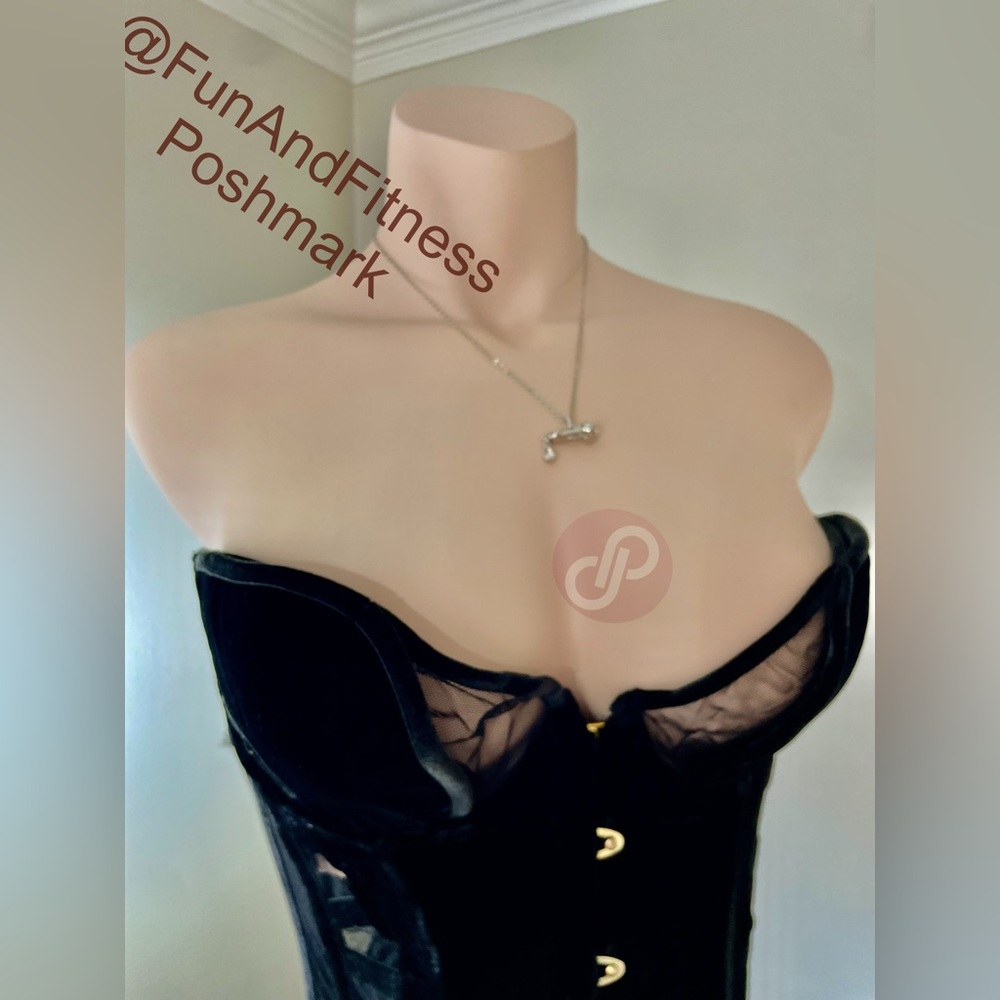 Agent Provacateur Ivana Corset AP 4 (~32-36—c/d/dd) Velvet & Mesh Sheer Panels